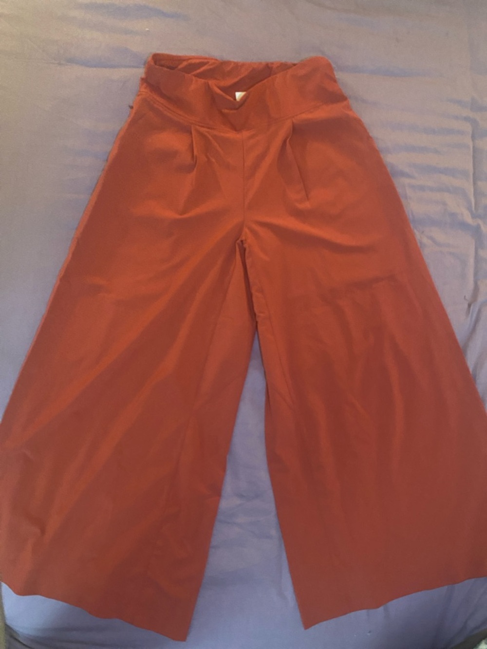 Title Nine Round Trip Wide-Leg Pants in Rust